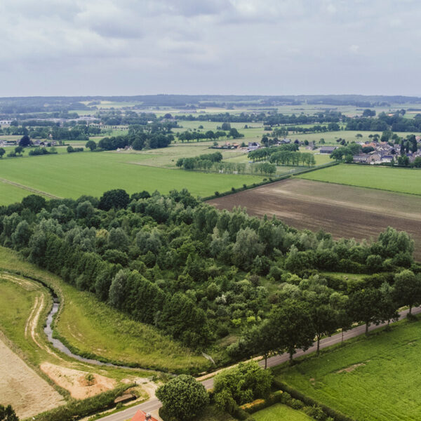 Ketelbroek foodforest, the Netherlands