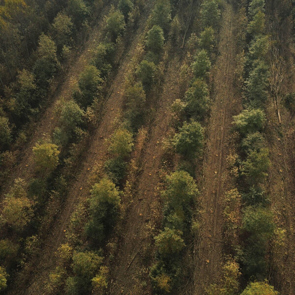 Azienda agricola Sanbonifacio, Italy
