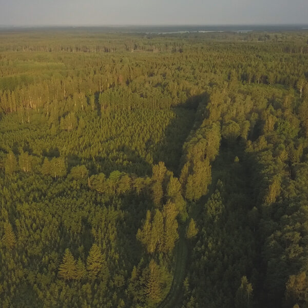 Vadakste Biodiversity Forest: Forest farming, Latvia