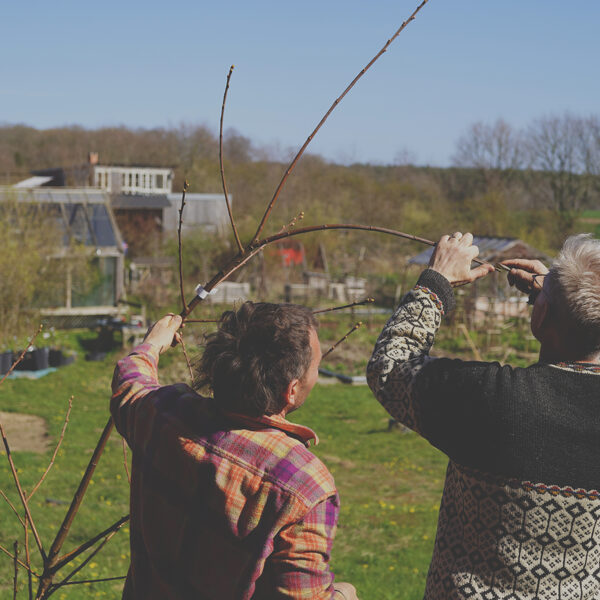 Boat in Forest: nutforest, permaculture farm, Sweden