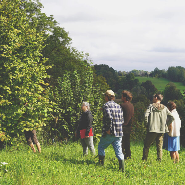 Ragāres: Forest garden and commercial garden, Latvia