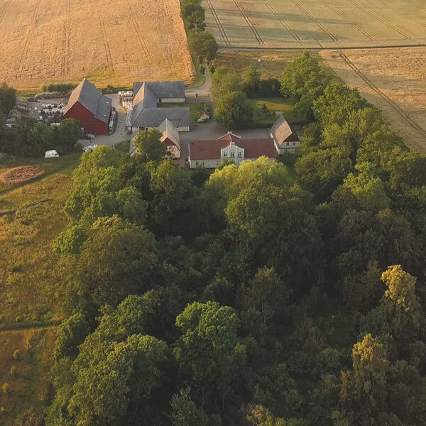 Rydeholm Forest garden, Sweden: Nutcrops, agriwilding, biodiversity and connectivity, 