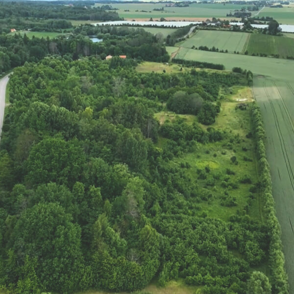 Väversunda foodforest at commercial berry farm, Sweden; Nutcrops, biodiversity, connectivi