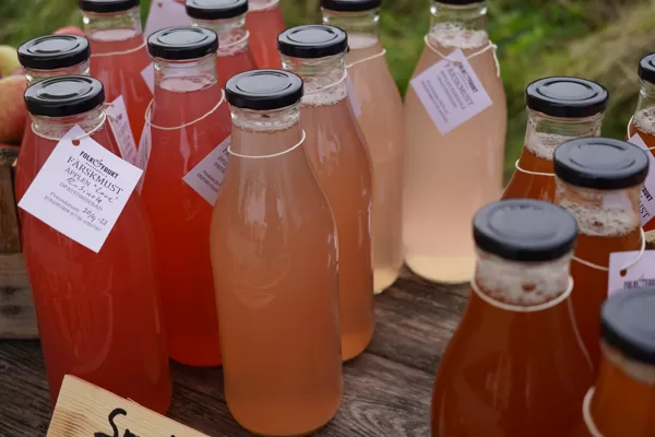 Apple cider from different varieties, Baskemölla, Sweden