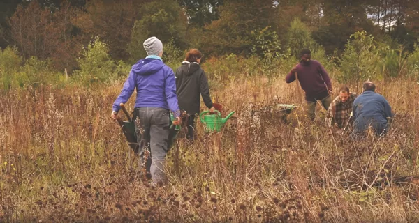 Planting nut trees, Boat in Forest permaculture farm, Sweden