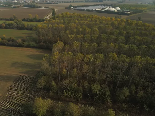 Azienda agricola San Bonifacio, Italy. Agroforestry + polycyclic forestry.