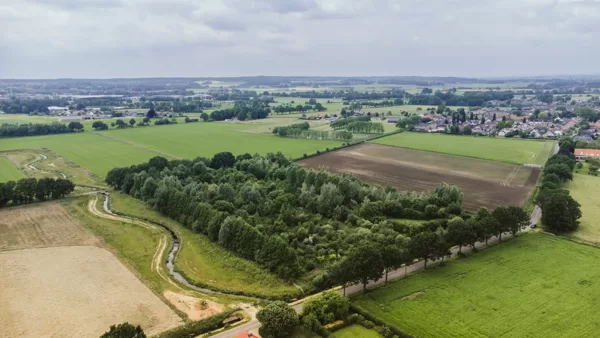 Ketelbroek foodforest, the Netherlands