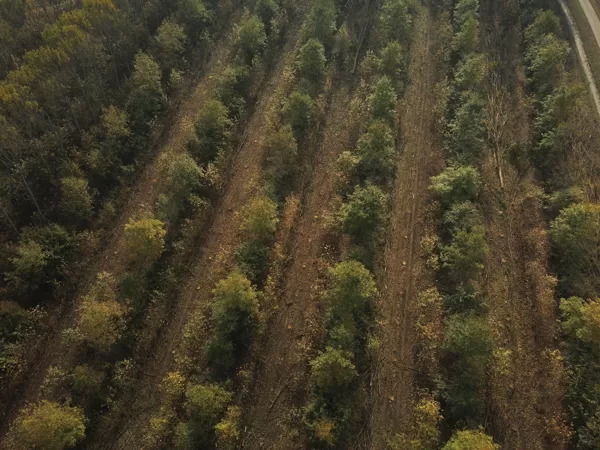 Azienda agricola Sanbonifacio, Italy