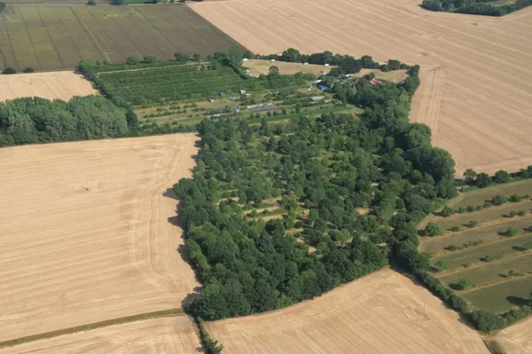 Wakelyns agroforestry, UK