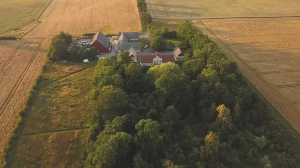 Rydeholm Forest garden, Sweden: Nutcrops, agriwilding, biodiversity and connectivity, 