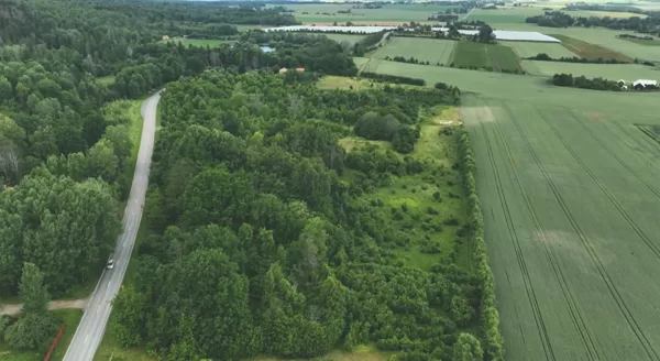 Väversunda foodforest at commercial berry farm, Sweden; Nutcrops, biodiversity, connectivi