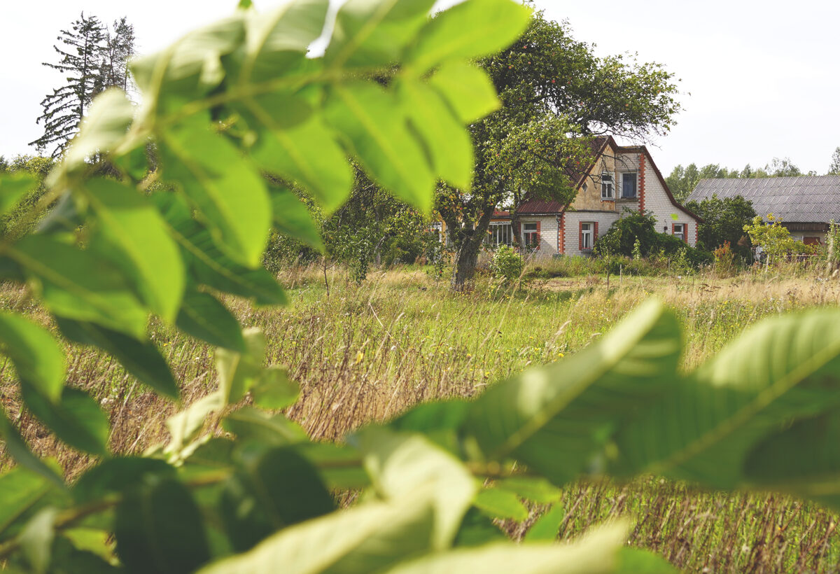 DSC04012_Unhide_Agroforestry_Latvia.jpg