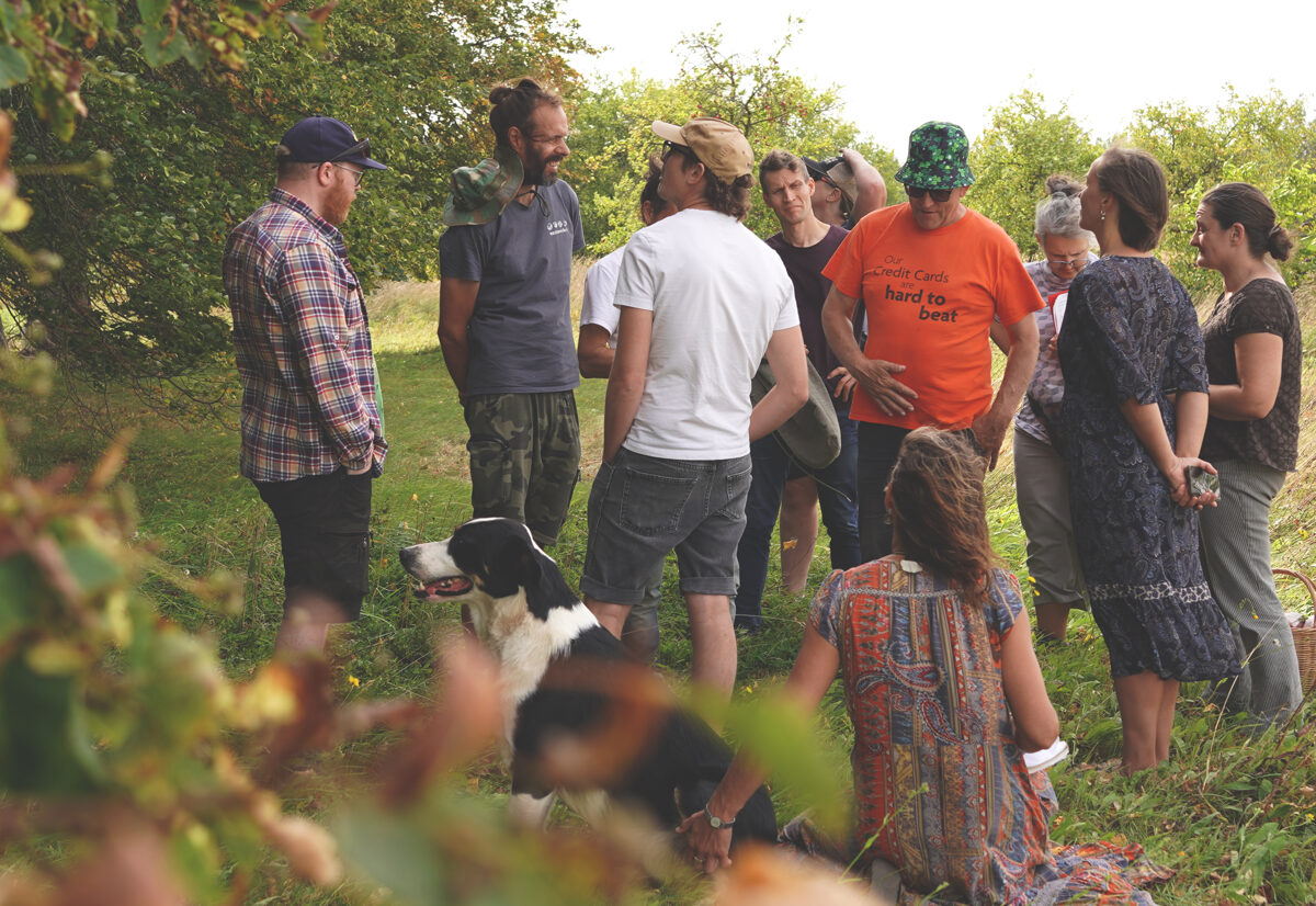 DSC04015_Unhide_Agroforestry_Latvia-1.jpg