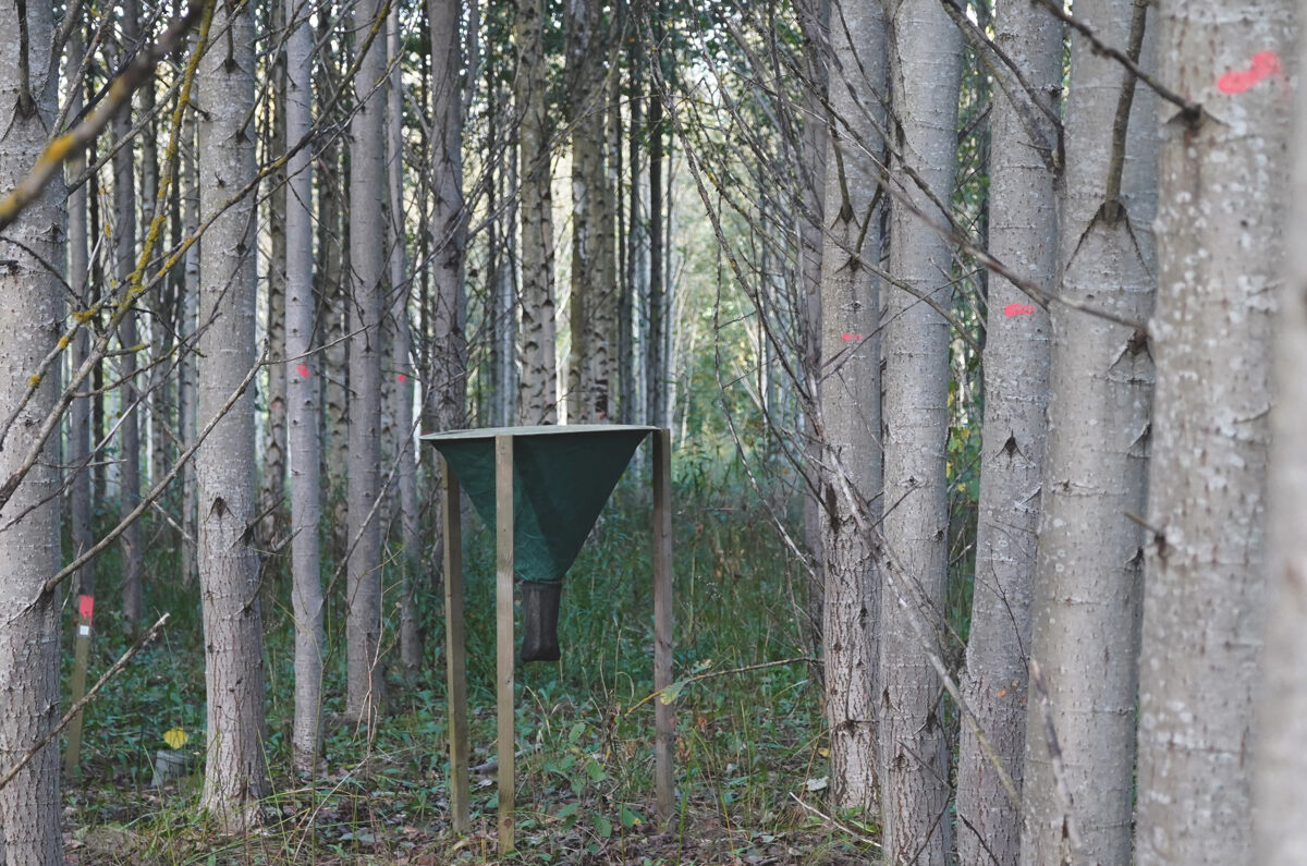 DSC04318_Unhide_Agroforestry_Latvia.jpg