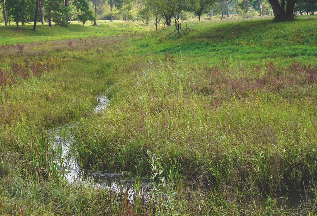 DSC04352_Unhide_Agroforestry_Bekas.jpg