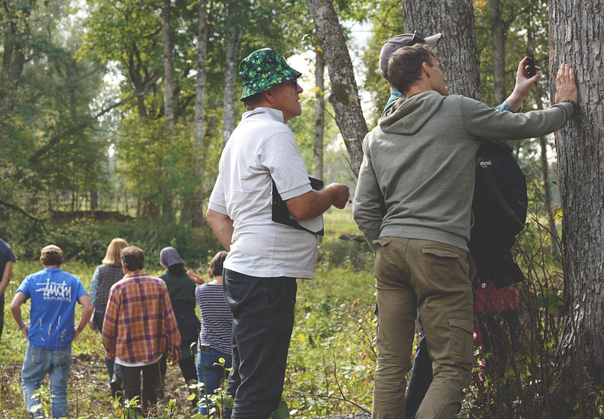 DSC04368_Unhide_Agroforestry_Bekas_Silvopasture.jpg