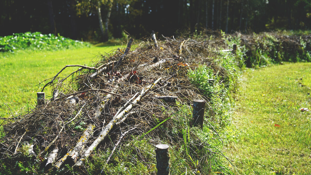 DSC09155_Unhide_Agroforestry_Agna_saimnieciba.jpg