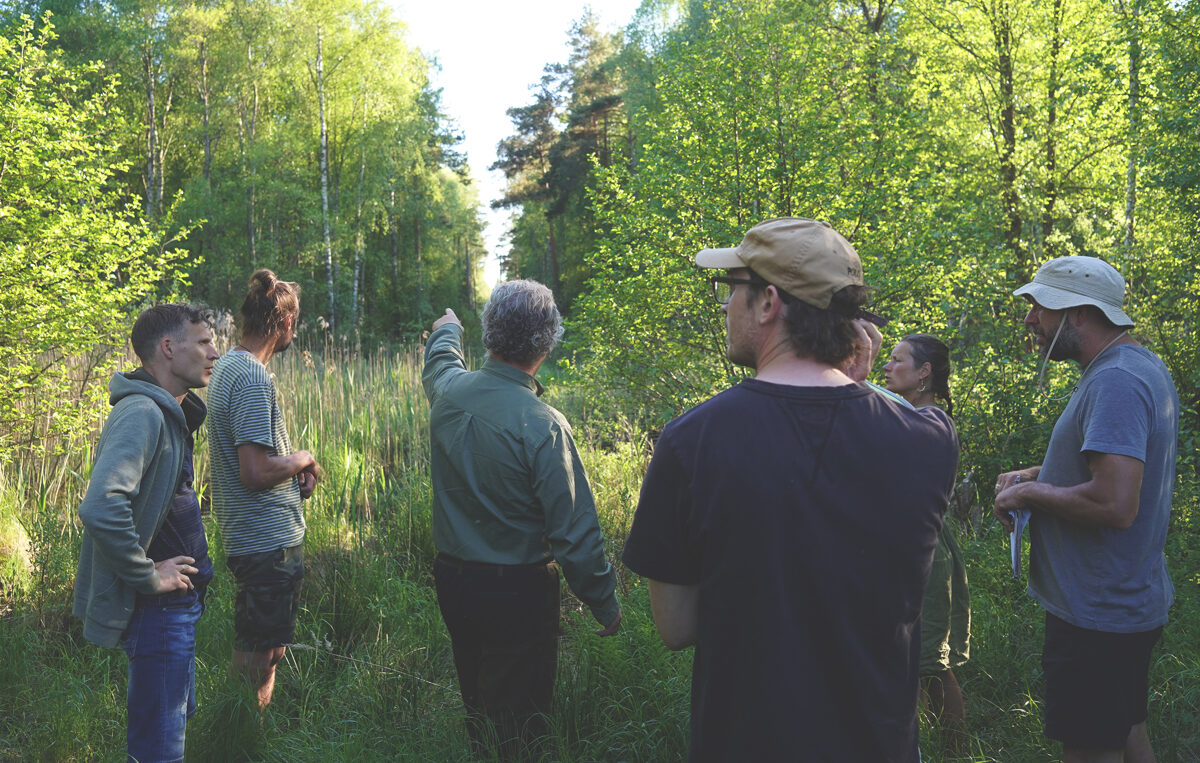 Gronadal_Unhide_Agroforestry_skogsbete.jpg