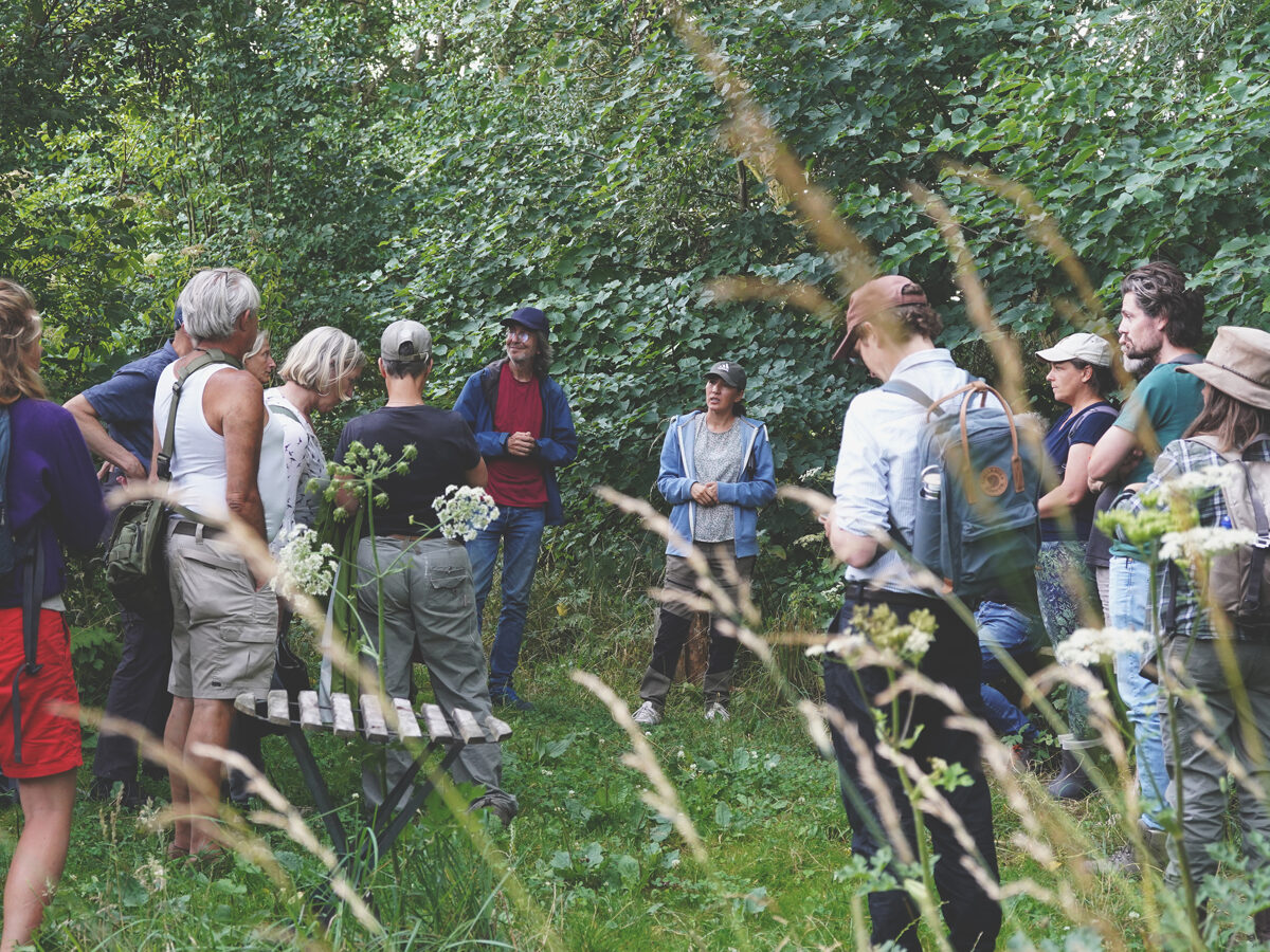 Ketelbroek_food_forest__01.jpg