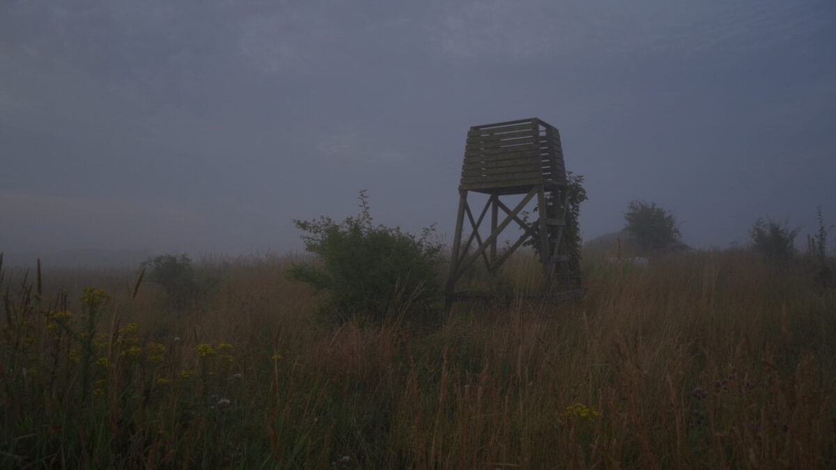 Rydeholm_forestgarden.JPG