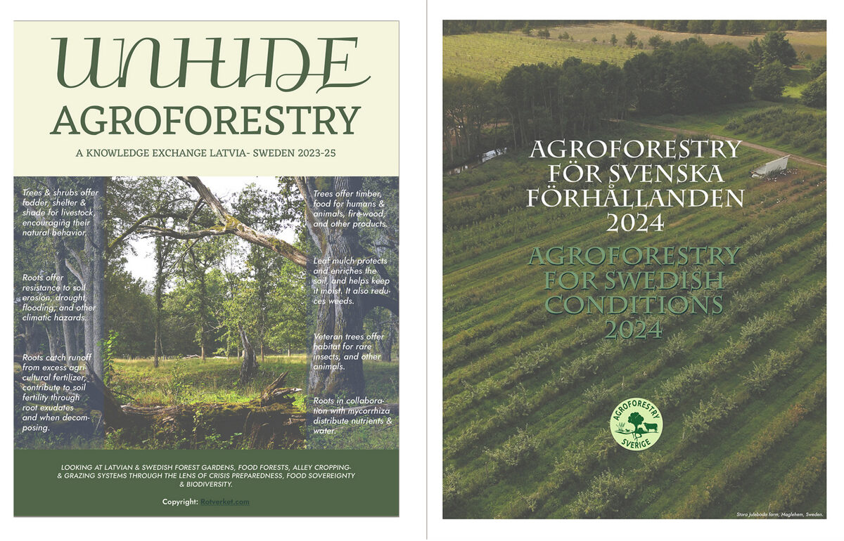 Swedish_Agroforestry_Reports_RootWorks___Agroforestry_Sweden_-2.jpg
