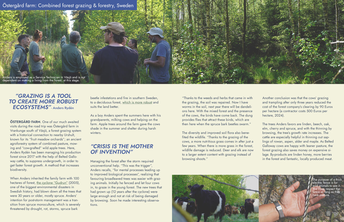 UNHIDE_Agroforestry_Anders_Ryden_12-13.jpg