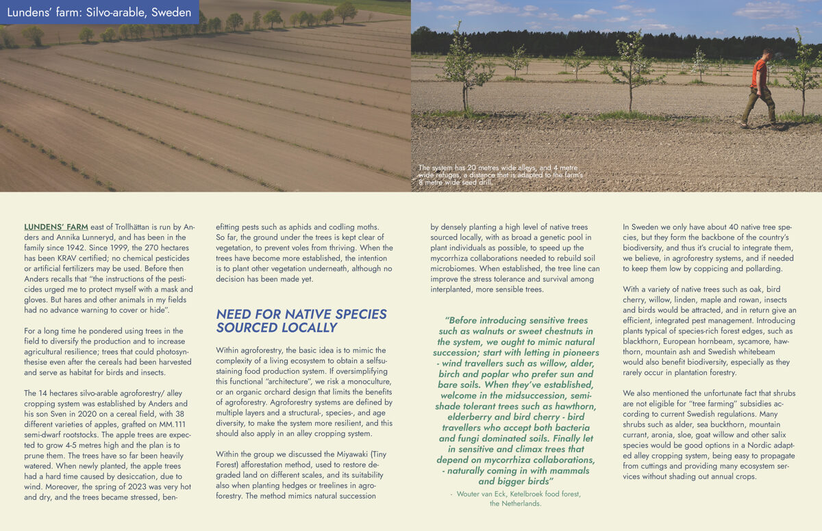 UNHIDE_Agroforestry_Lundens_farm_alley_cropping_20-21.jpg