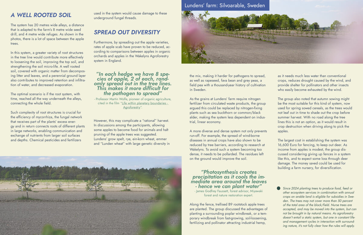 UNHIDE_Agroforestry_Lundens_farm_alley_cropping_22-23.jpg