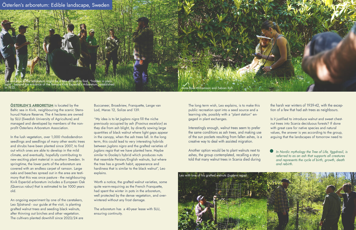 UNHIDE_Agroforestry_Osterlens_arboretum_28-29.jpg