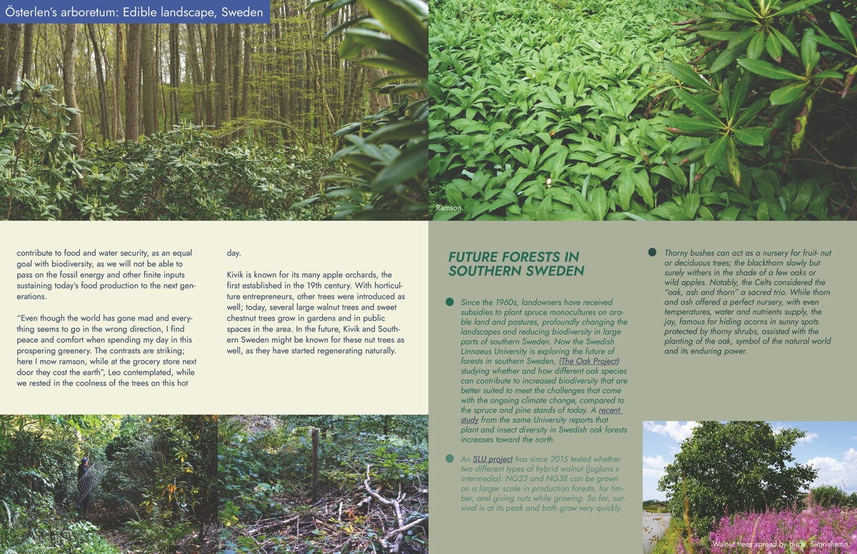 UNHIDE_Agroforestry_Osterlens_arboretum_30-31.jpg