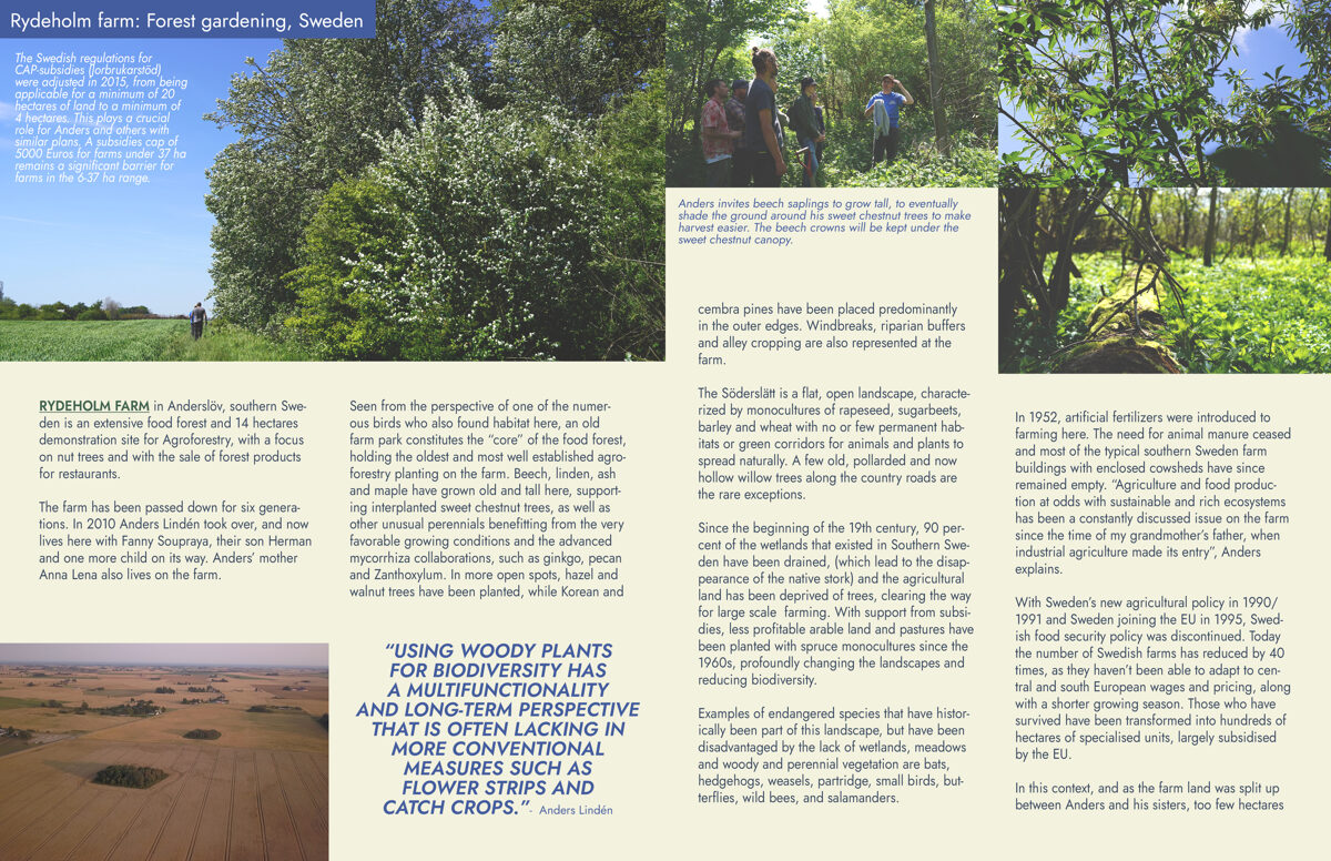 UNHIDE_Agroforestry_Rydeholm_food_forest_32-33.jpg