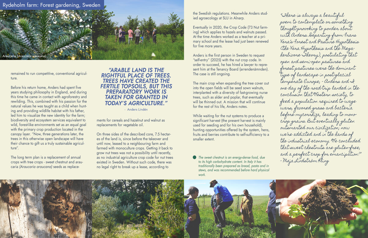 UNHIDE_Agroforestry_Rydeholm_food_forest_34-35.jpg