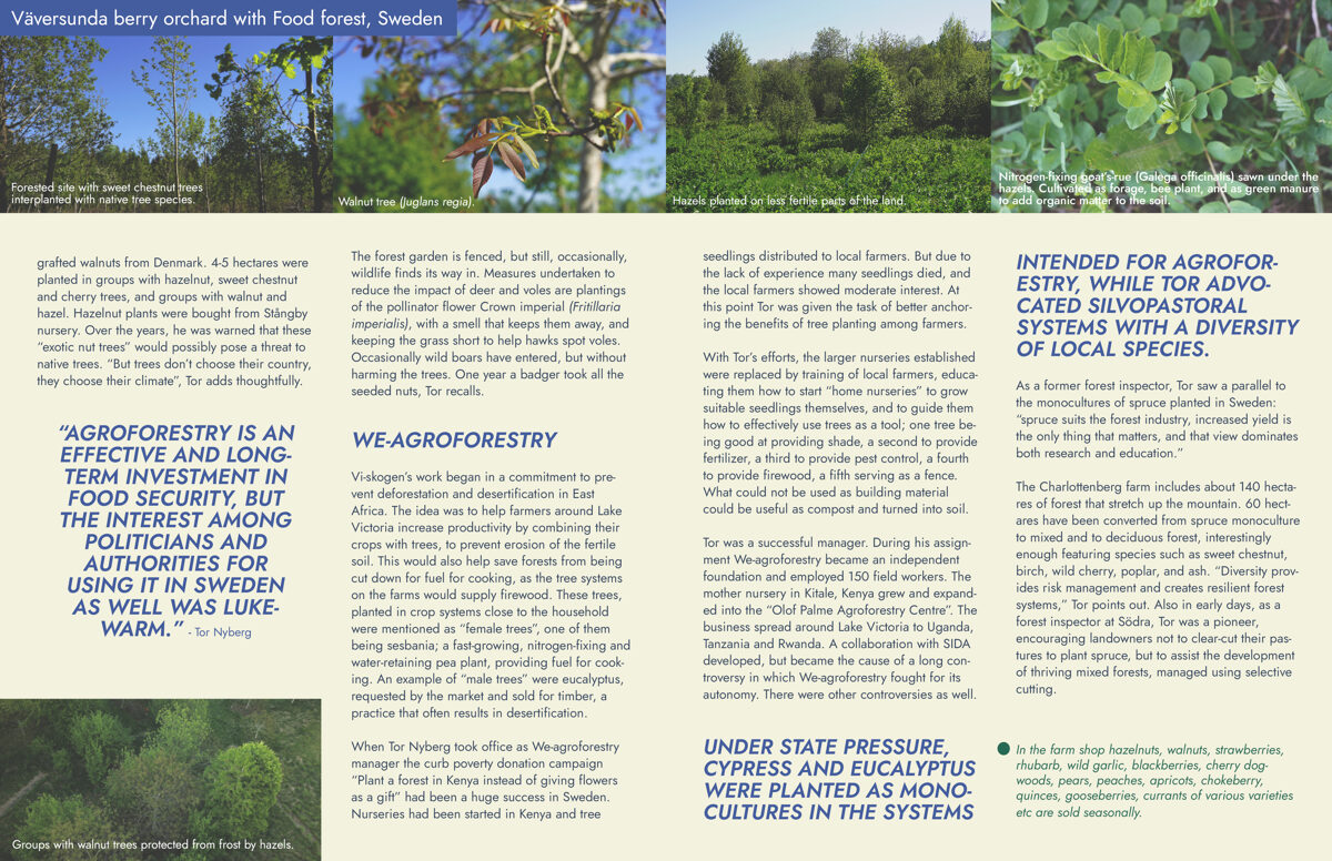 UNHIDE_Agroforestry_Vaversunda_10-11.jpg