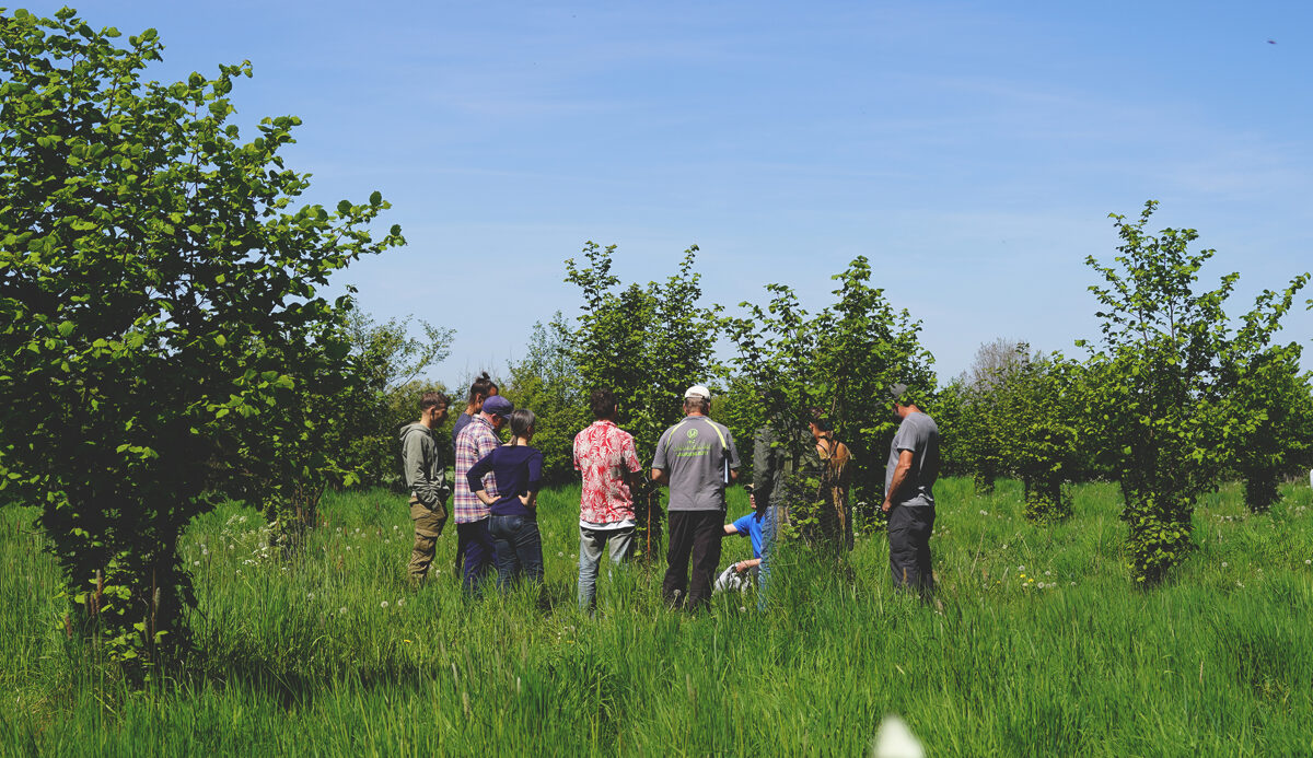 Unhide_Agroforestry_Rydeholm_Rotverket.jpg