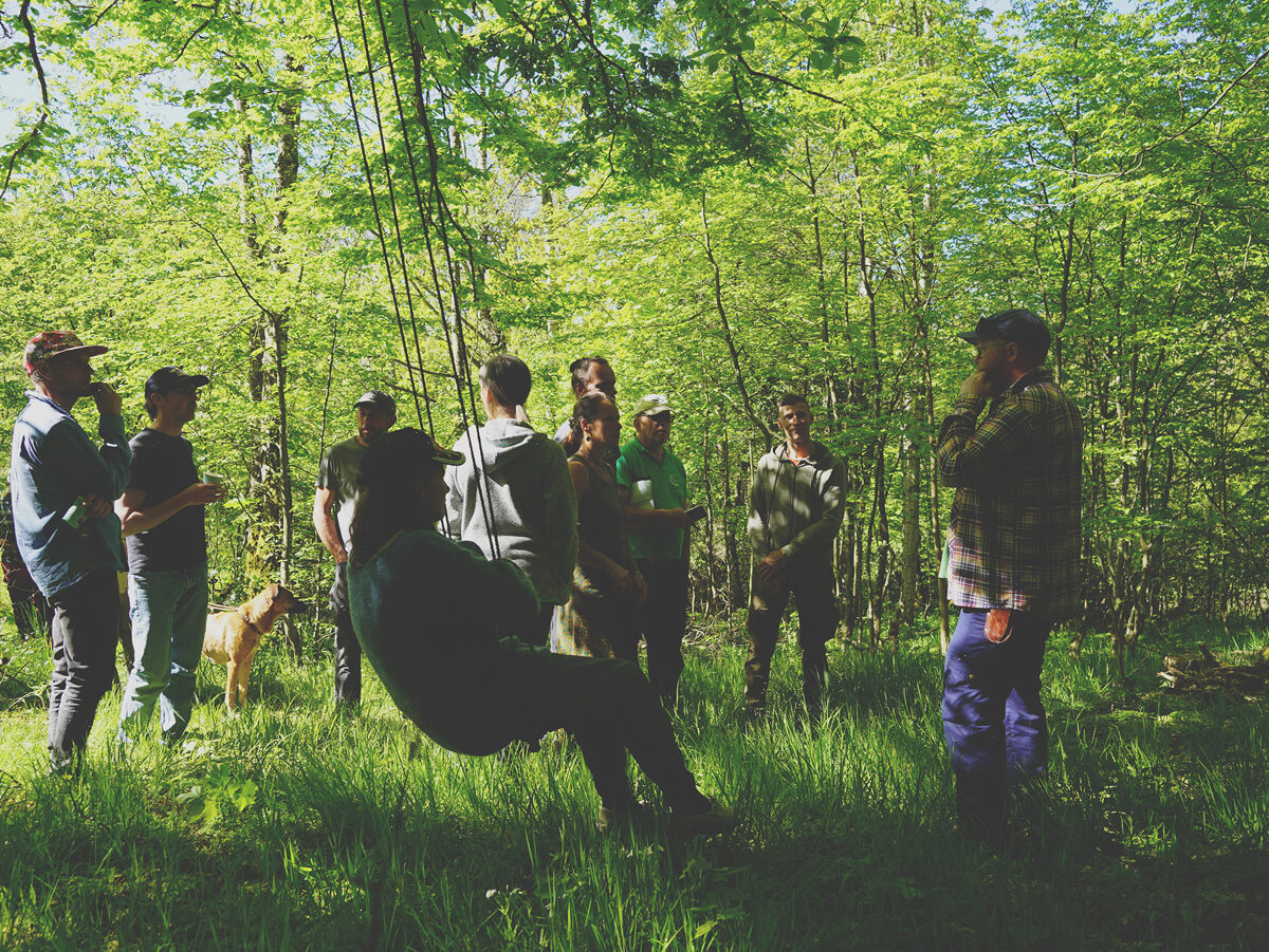 Unhide_agroforestry__Erasmus_arboretum_Rotverket.jpg