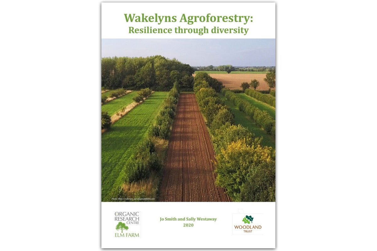 Wakelyns-Agroforestry-Resilience-through-Diversity_2048x.jpg